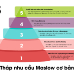 Tháp nhu cầu Maslow