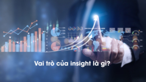 Vai trò của insight là gì trong marketing?